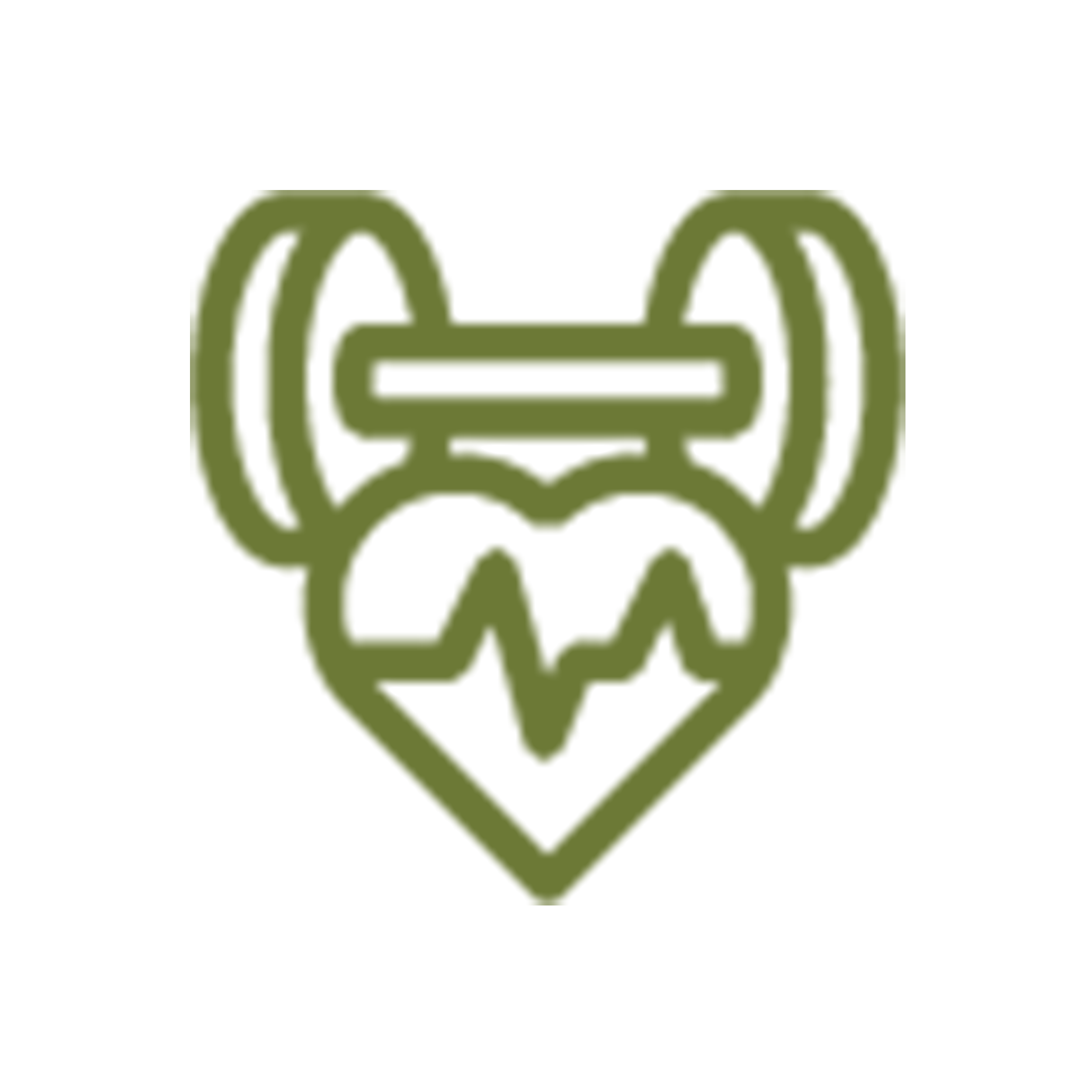 Energy & Vitality